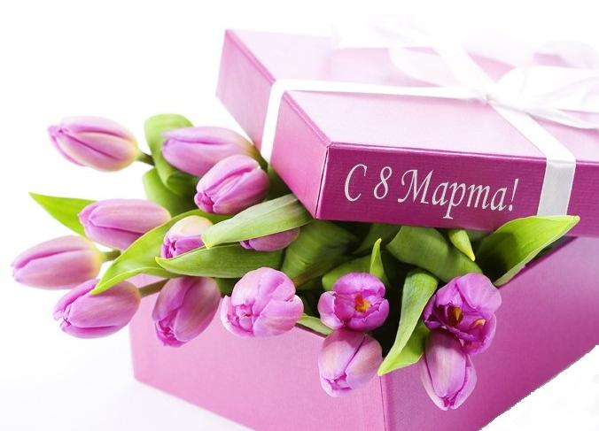 Sincerely congratulate you on the holiday of charm and beauty – The International Women’s Day March 8th!